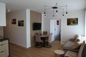 2 pok Apartament Bryza 150m od jeziora